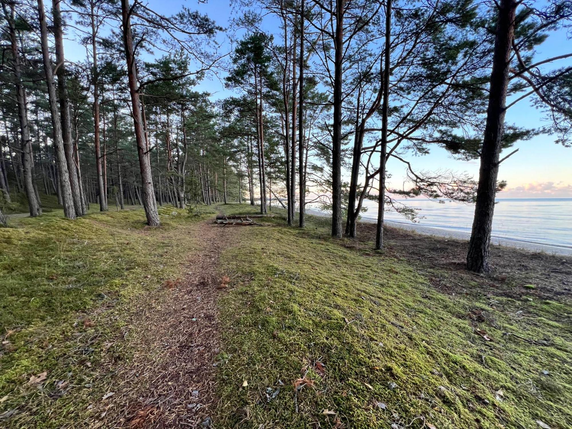 Lovely Apartment By The Sea. Ķesterciems Eksteriør bilde