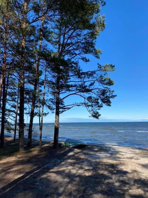 Lovely Apartment By The Sea. Ķesterciems Eksteriør bilde